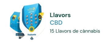 Llavors cbd cannabis