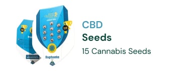 CBD-seeds