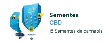 sementes cannabis cbd