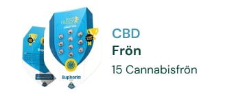 CBD CANNABIS FRÖN