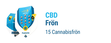 CBD CANNABIS FRÖN