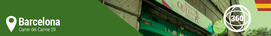 Barcelona Cannabis Seeds Shops Barcelona cannabis shop