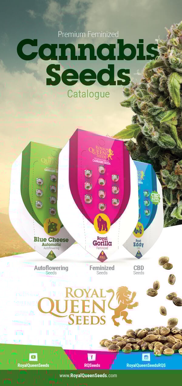 Cannabis Seed Catalogue