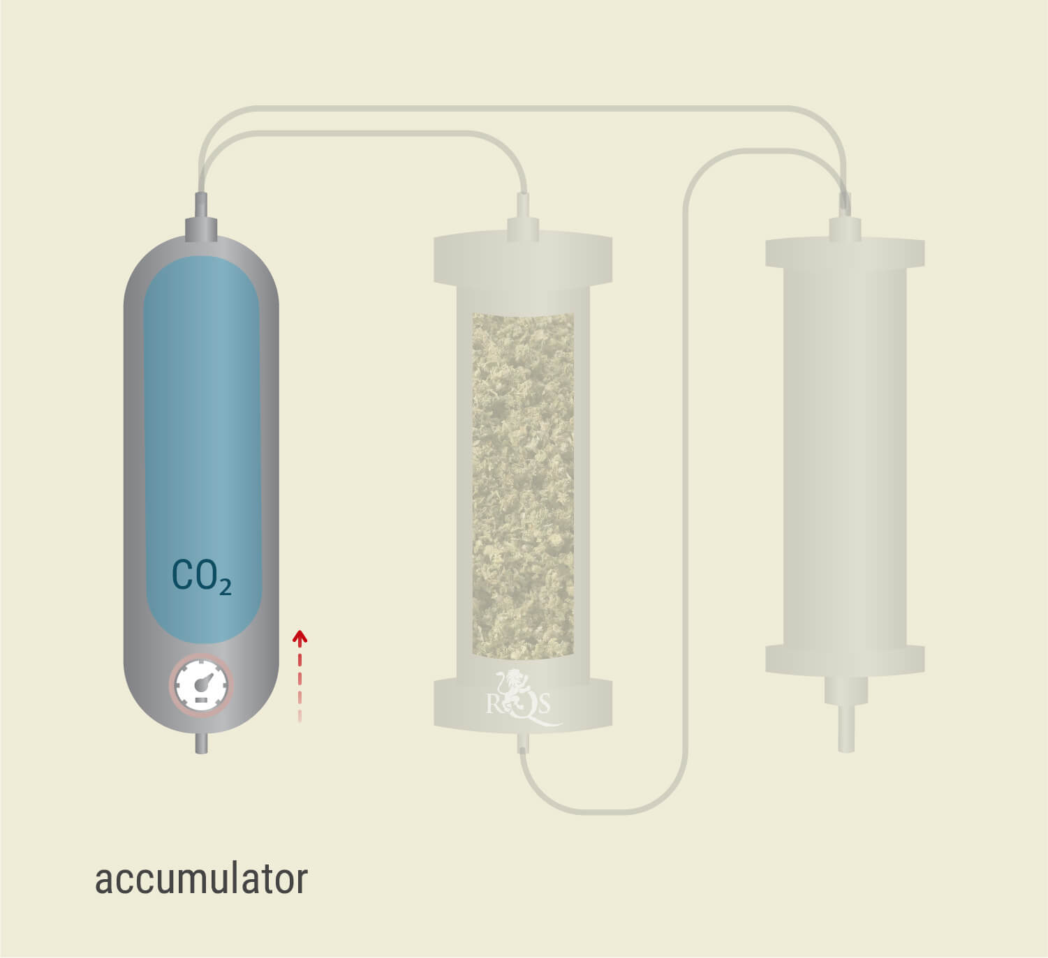 CO₂ Extraction: Step-by-Step Process