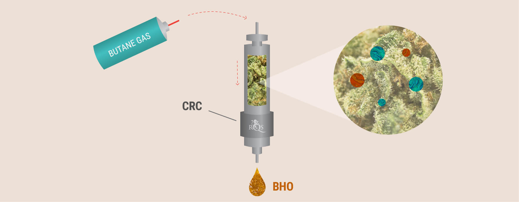 The CRC Process The CRC Process