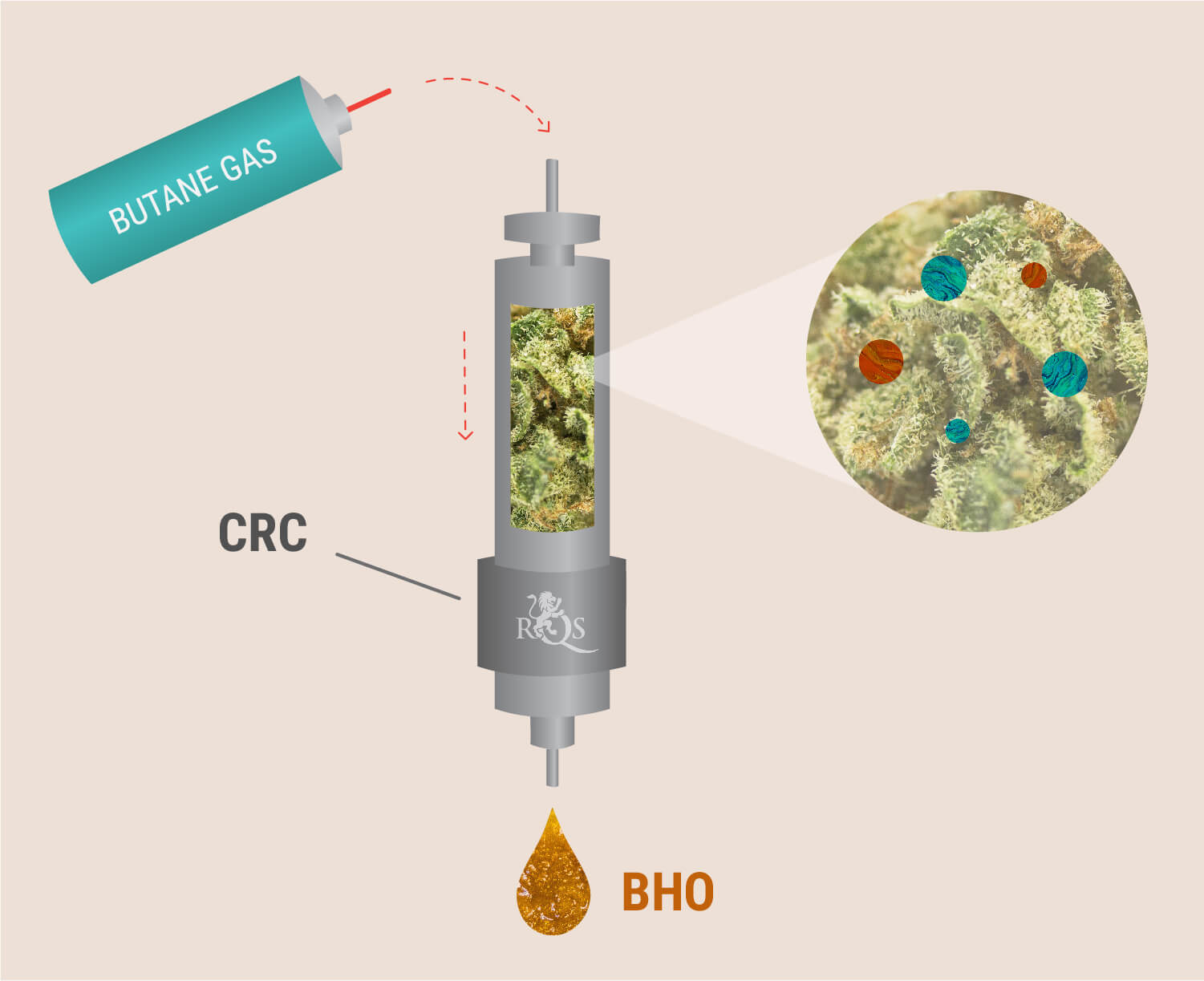 The CRC Process The CRC Process