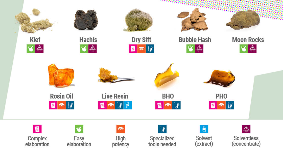 The Ultimate Guide To Cannabis Concentrates - Royal Queen Seeds
