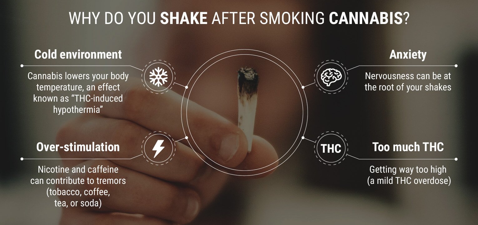 Why do you shake after smoking cannabis? Why do you shake after smoking cannabis?