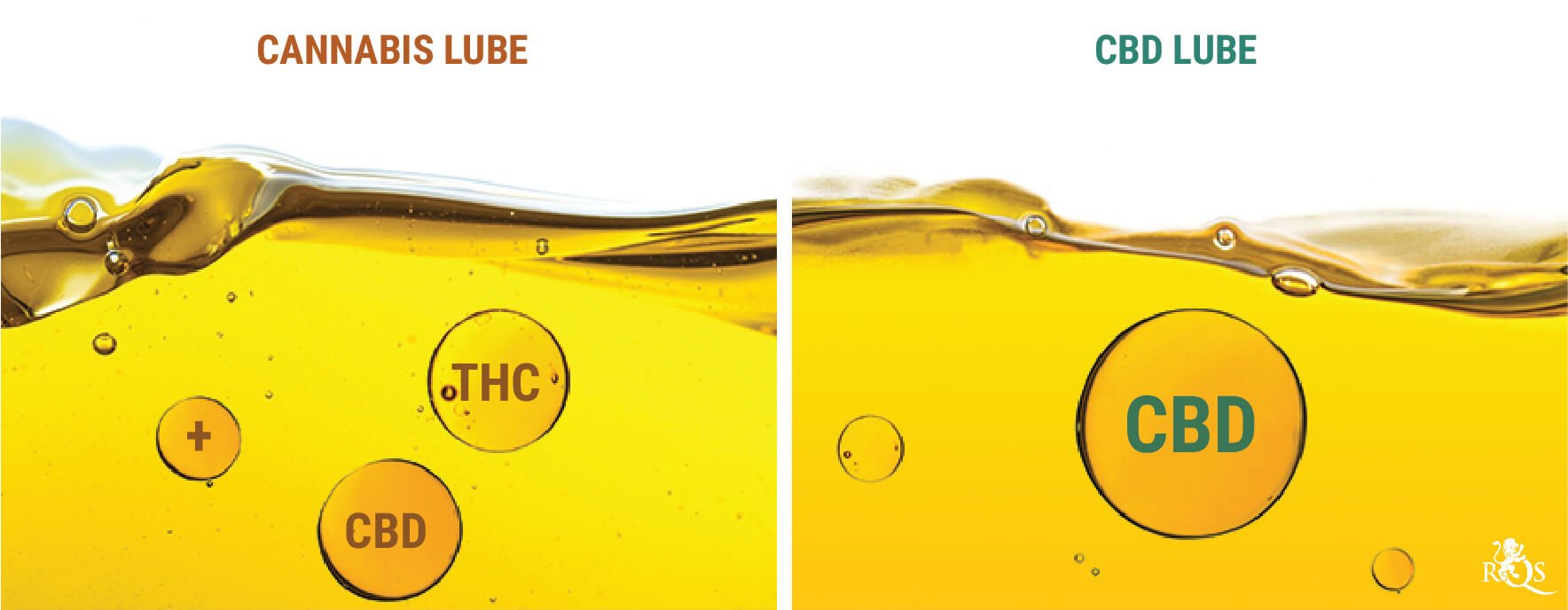 Cannabis Lube vs CBD Lube Cannabis Lube vs CBD Lube