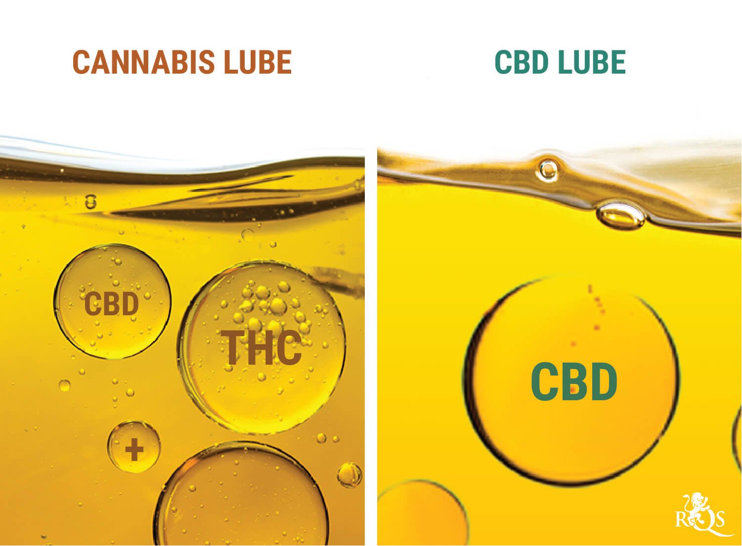 Cannabis Lube vs CBD Lube