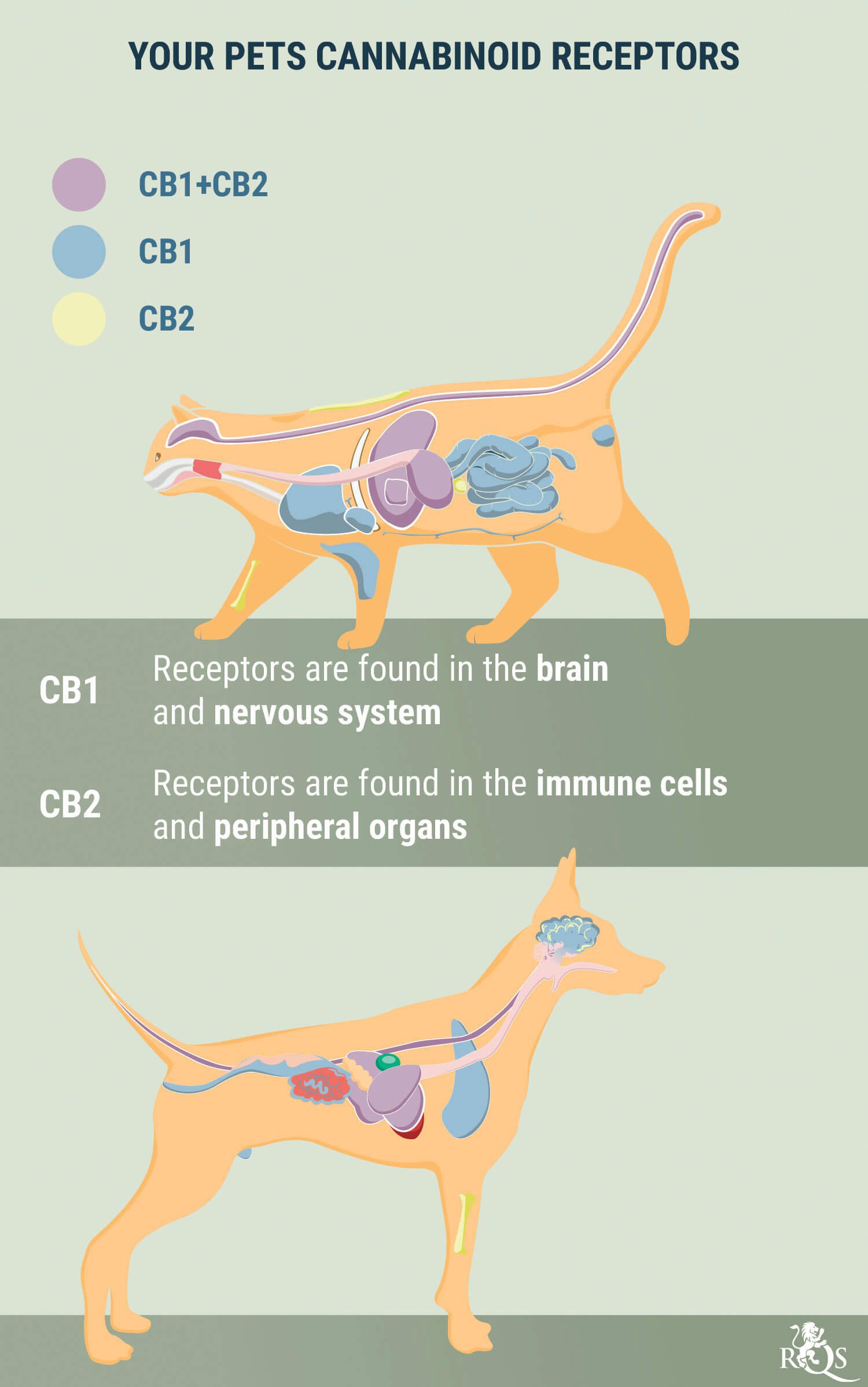 Medical Cannabis for Dogs and Cats