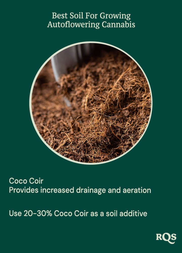 Coco coir for growing autoflowers