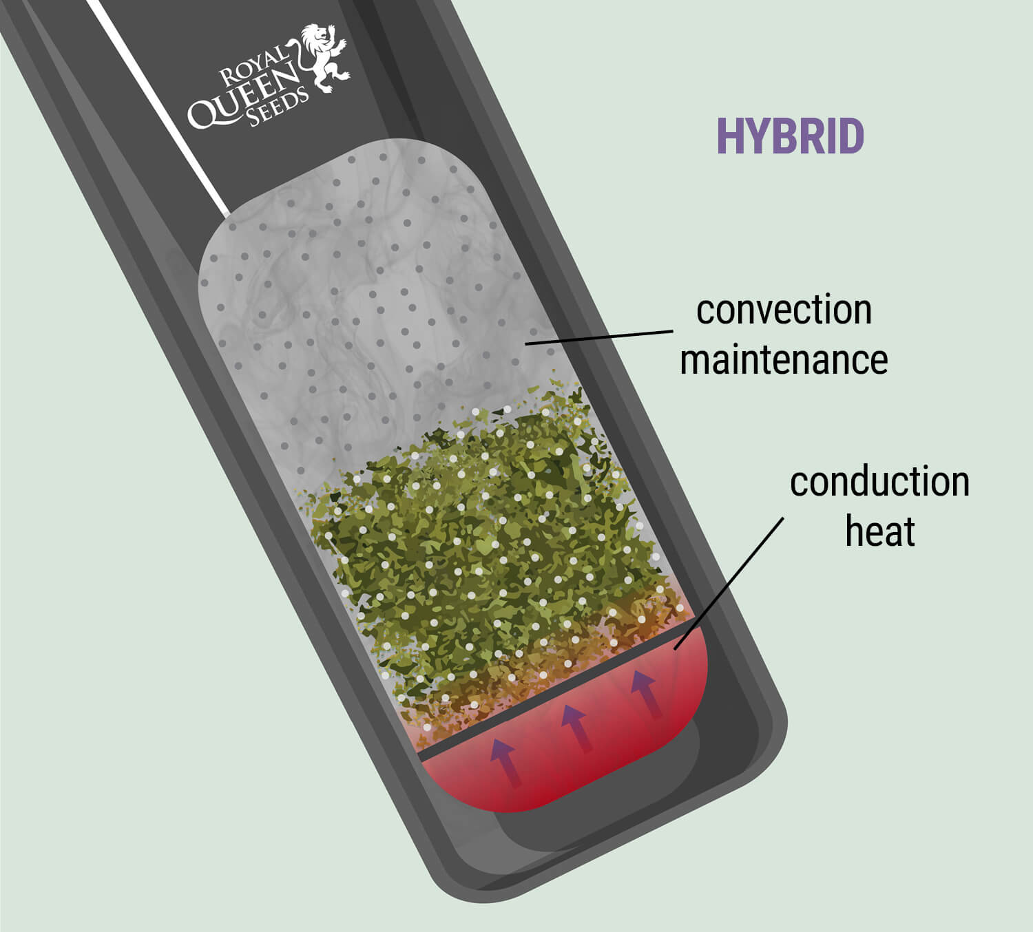 Hybrid Hybrid