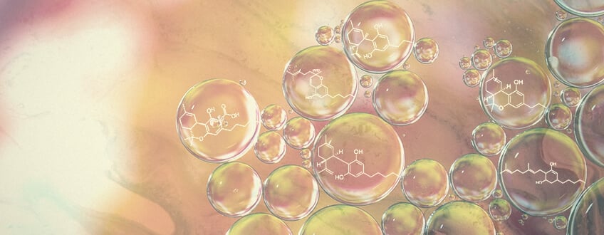 What are Cannabinoids and why are they important?