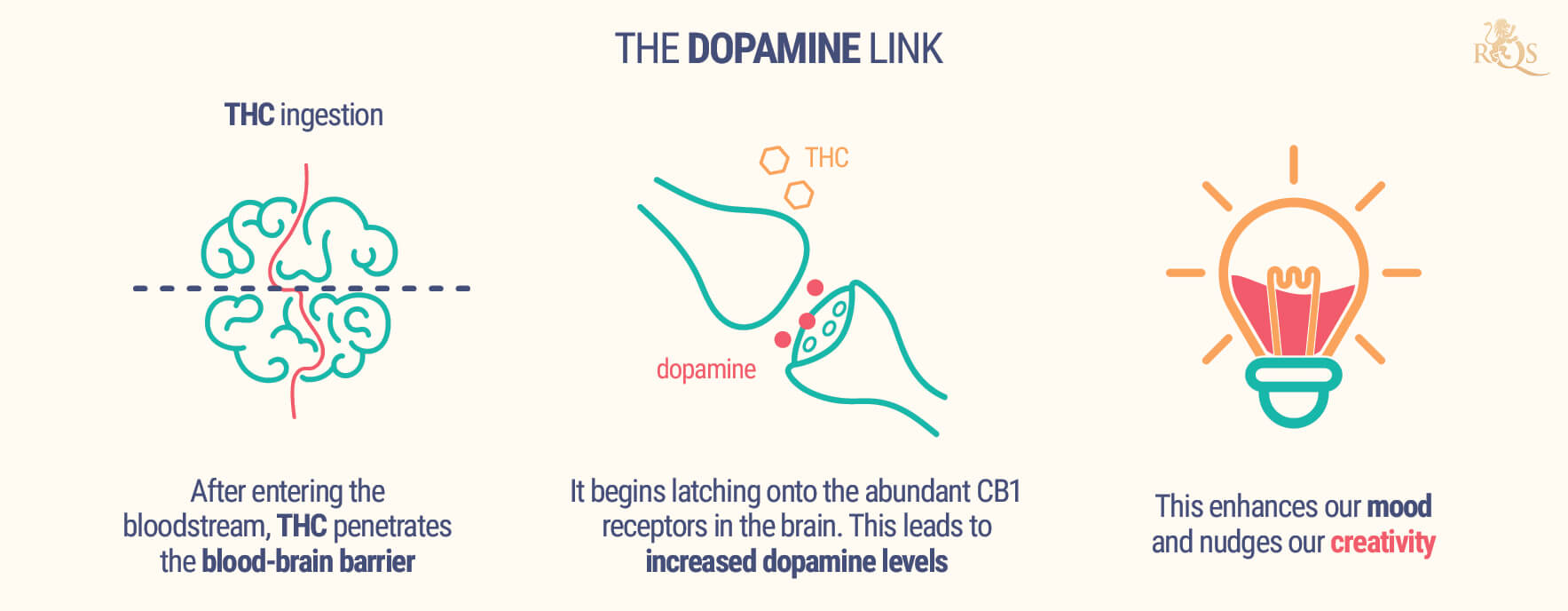 The Dopamine Link The Dopamine Link