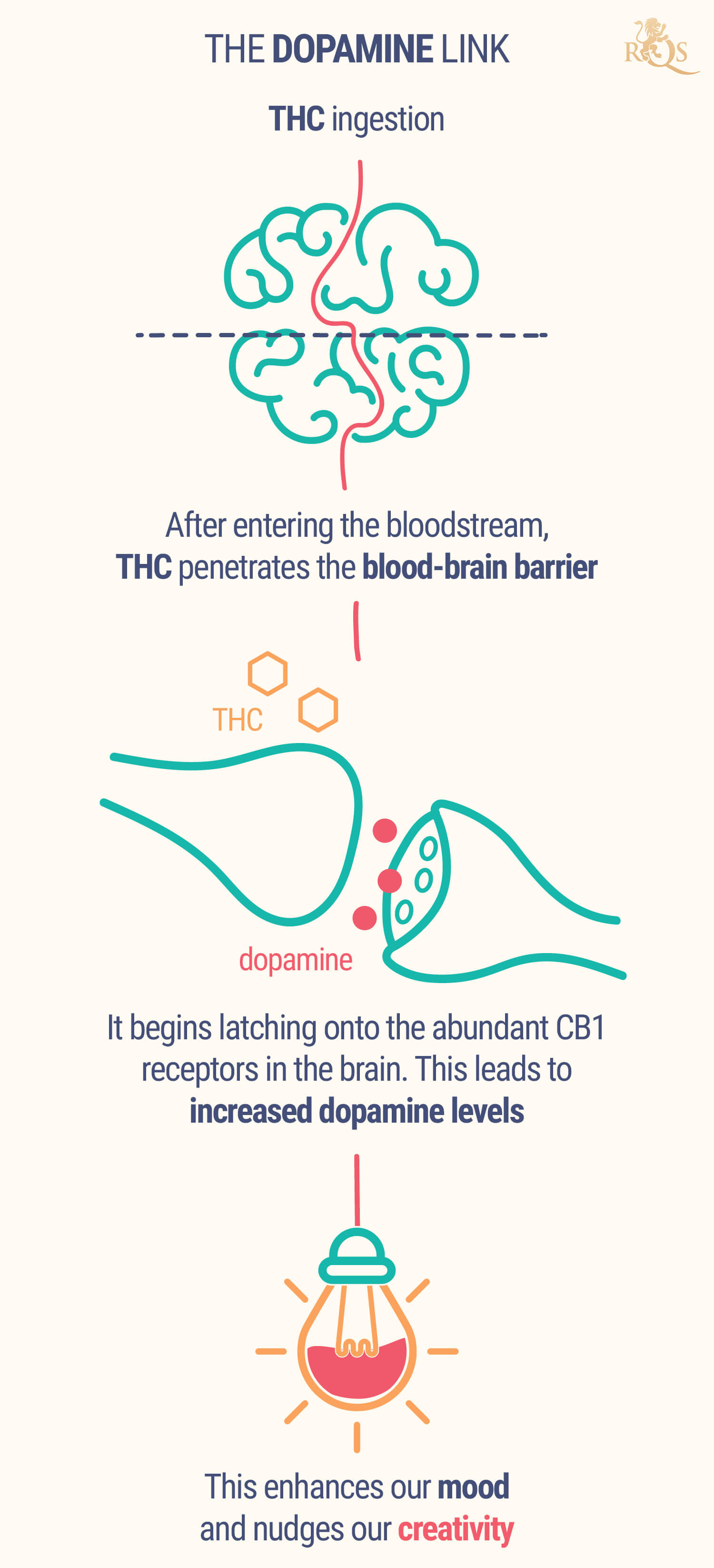 The Dopamine Link The Dopamine Link