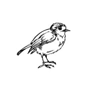 BUILD BIRD PERCHES BUILD BIRD PERCHES
