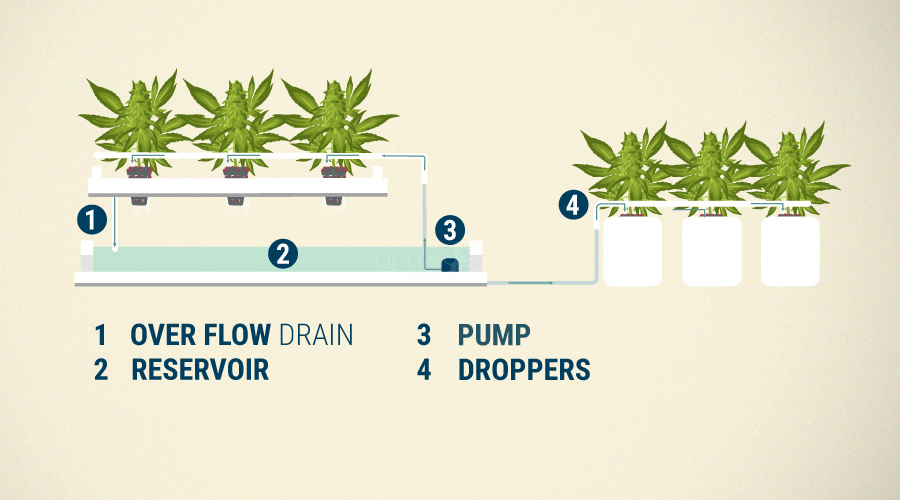 Continuous Drip Hydroponics