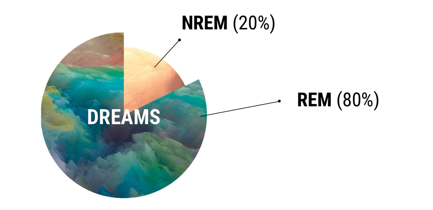 Understanding Human Sleep