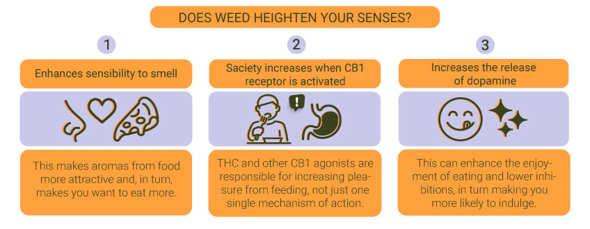 Does Weed Heighten Your Senses?