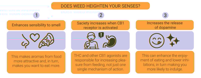 Does Weed Heighten Your Senses?