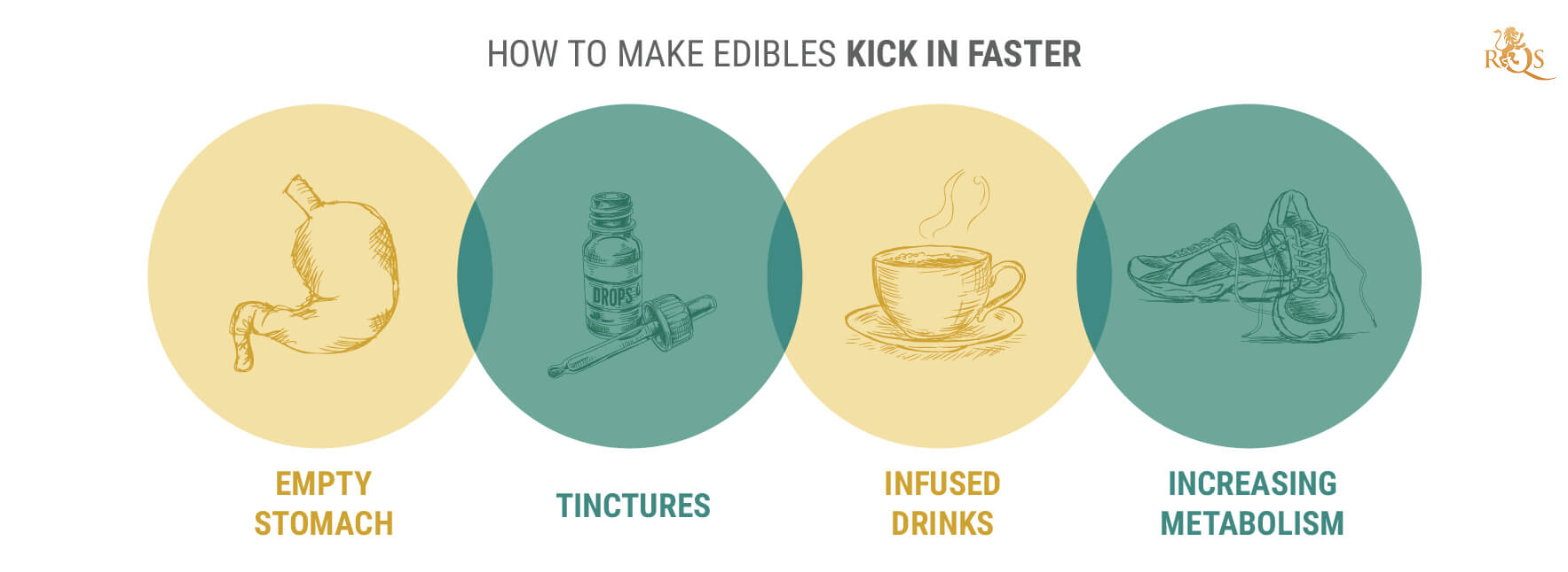 O que significa edibles kick in? - Pergunta sobre a Inglês (EUA)