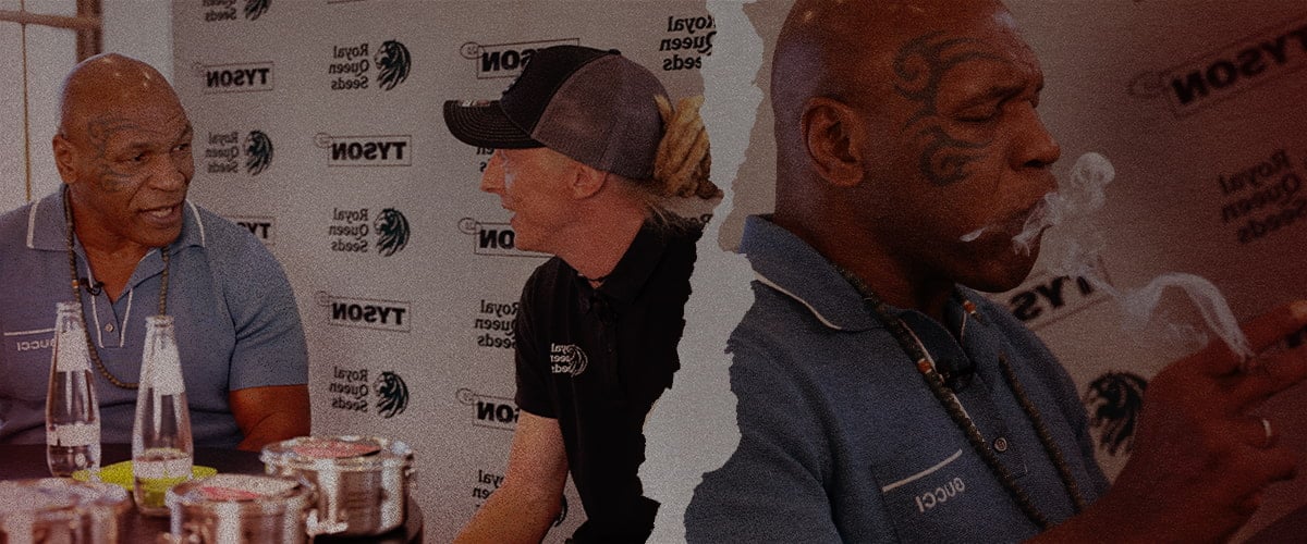 Mike Tyson and Royal Queen Seeds Collaboration – Euphoric Cannabis Conversations Mike Tyson talking and smoking with Royal Queen Seeds representative, highlighting their cannabis partnership and lifestyle during a euphoric meeting.