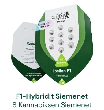 F1-hybridikannabiksen siemenet