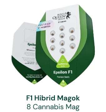 F1 hibrid kannabiszmagok