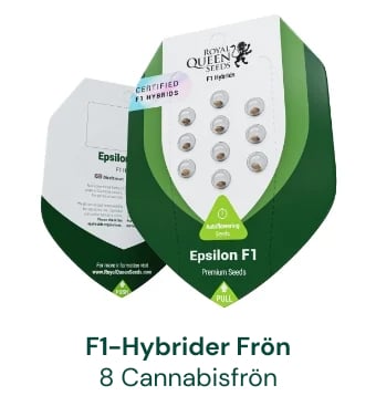 F1 Hybrid cannabisfrön