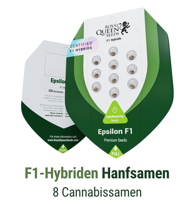 Kaufe Cannabis Samen von Royal Queen Seeds Hanfsamen