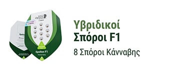 Υβριδικοί Σπόροι Κάνναβης F1