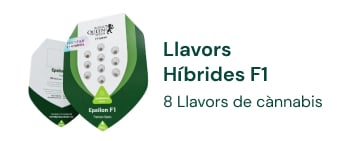 Llavors de marihuana híbrides F1