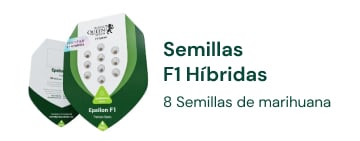 Semillas de marihuana híbridas F1