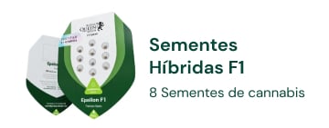 Sementes de Canábis Híbrida F1