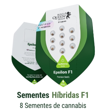 Sementes de Canábis Híbrida F1