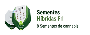 Sementes de Canábis Híbrida F1