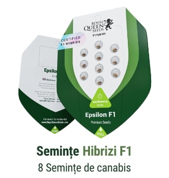 Semințe hibride de canabis F1
