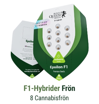 F1 Hybrid cannabisfrön