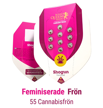 FEMINISERADE CANNABIS FRÖN