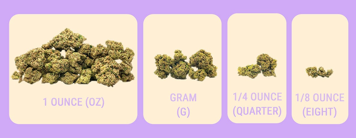 Weed Measurements: A Gram To An Ounce