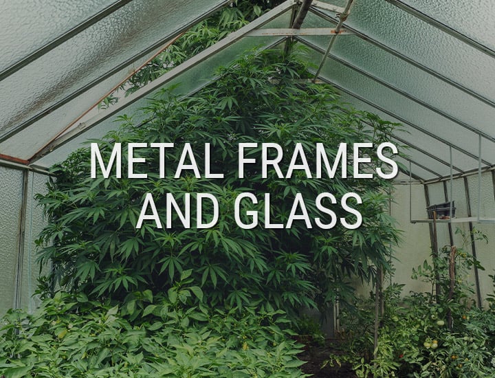 How To Build the Best Greenhouse for Growing Marijuana - RQS Blog