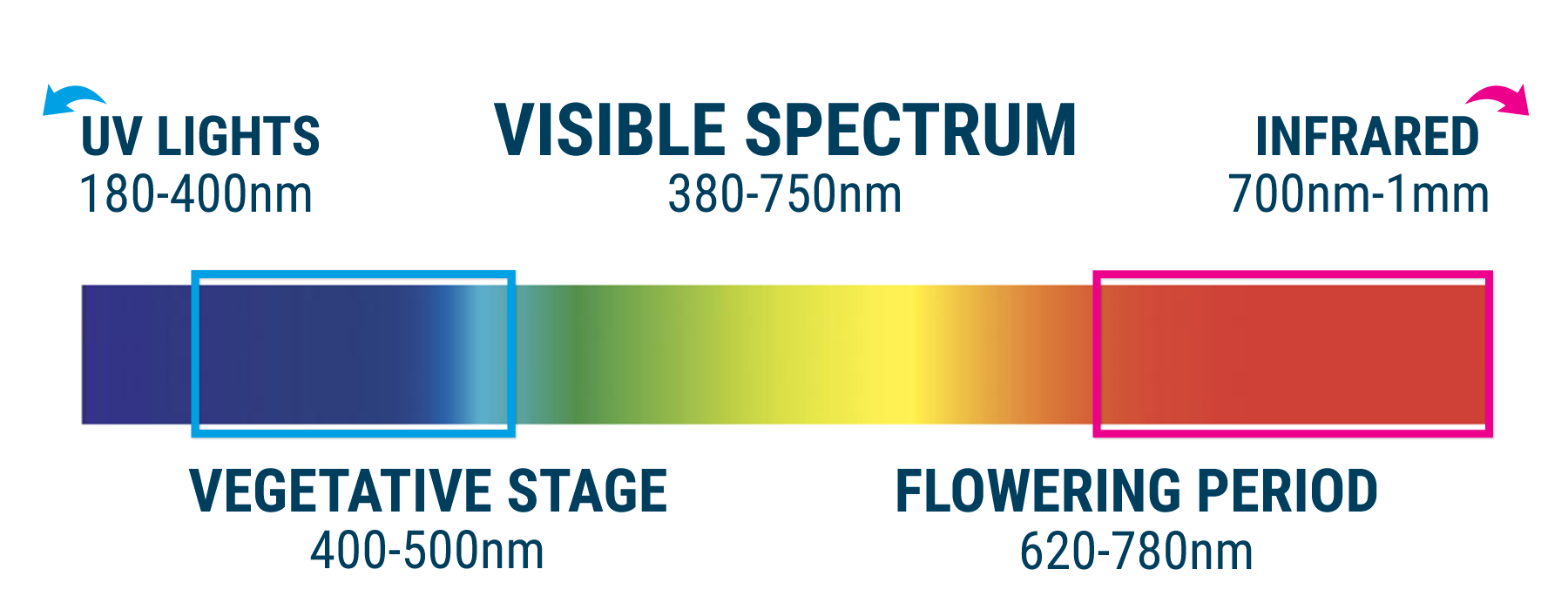 Marijuana Light Spectrum Chart