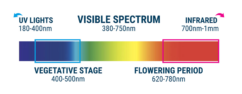 INCORRECT LIGHT SPECTRUM