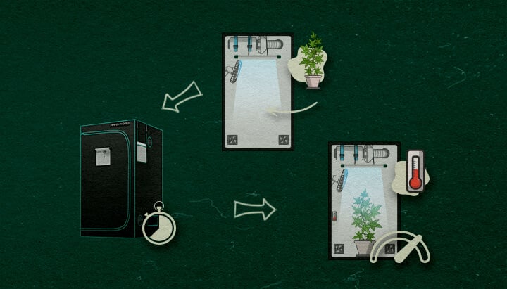 A continued step-by-step guide illustration for setting up a 4×4 grow tent, showing the addition of a cannabis plant, a timer for light schedules, and a thermometer to monitor conditions, on a green background with arrows indicating the process.