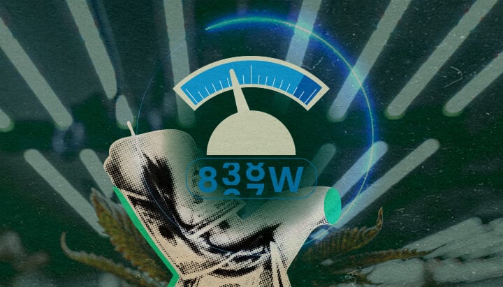 How Much Electricity Do LED Grow Lights Use: Gauge Image Futuristic gauge with cannabis leaves, showing LED grow lights electricity usage (100W-800W) for seedlings to flowering on a dark green background, ideal for cannabis growing guides.