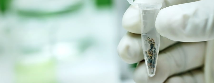 lab cannabis oil oxford funds investigation cientific