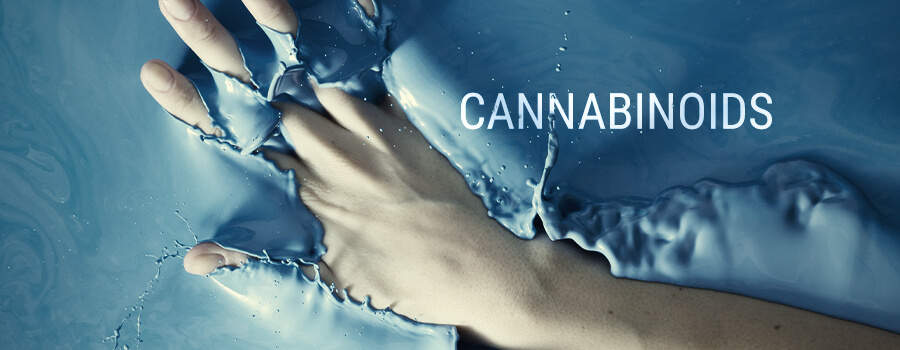 Cannabinoids And Bioavailability