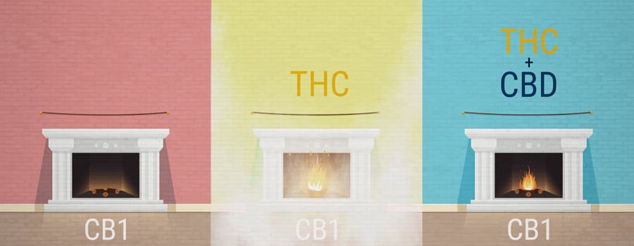 The Entourage Effect on Cannabis THC CBD