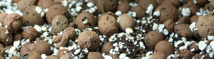 clay pebbles hydroponic 